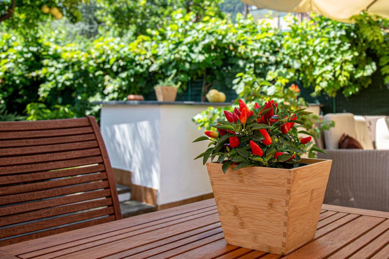 Xenia House Sorrento Hotel ภายนอก รูปภาพ